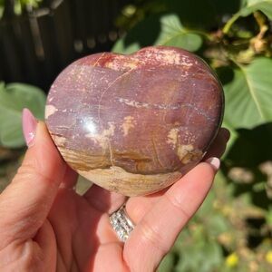 Petrified wood (4) Heart with stand | crystal